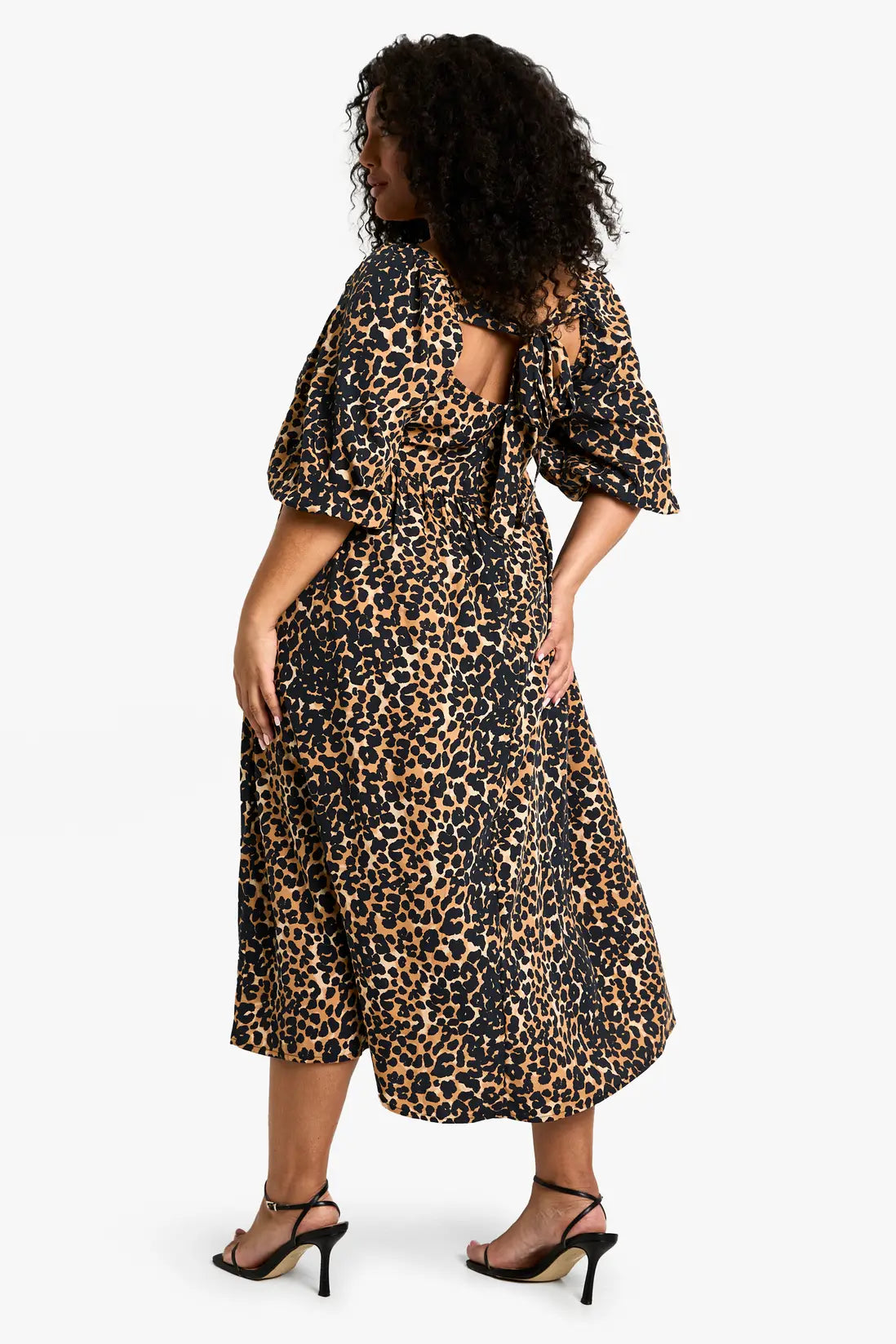 Classic Leopard Flared Dress
